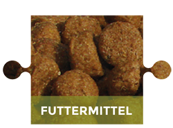 Gesundheitspuzzle